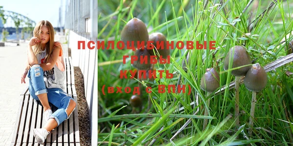 прущие крисы Абдулино